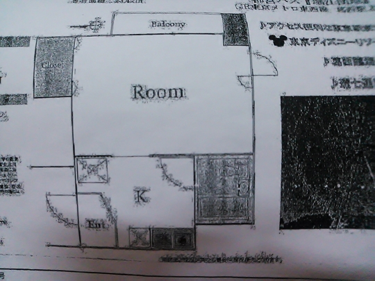 間取り図 - 東京江戸川区　女性限定。短期歓迎。同室になリます} - ルームシェアルームメイト