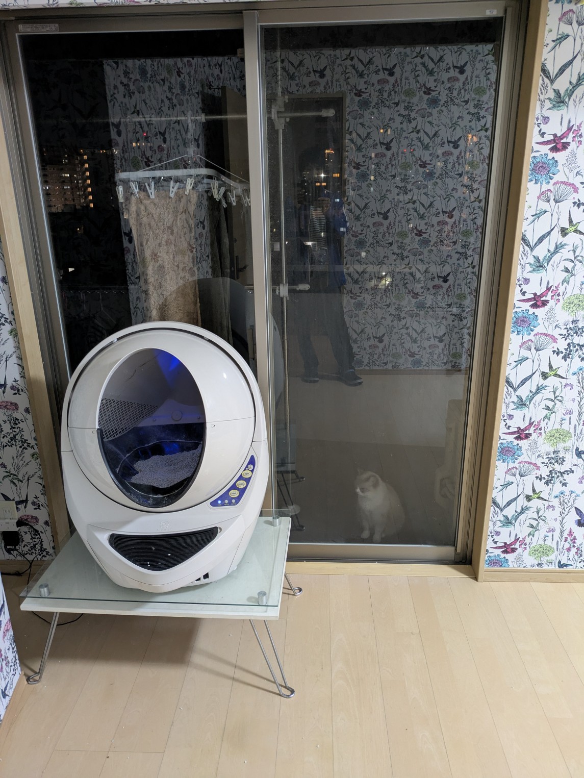 築浅分譲マンションにてルームメイトを募集しています（ペット可） その他 の画像