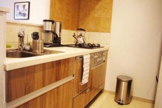 キッチン - brand new apartment in shinjuku} - ルームシェアルームメイト